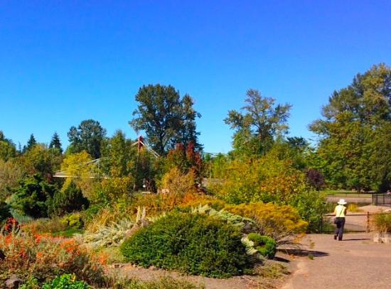Alton Baker Park