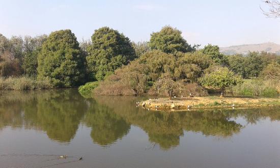 Austin Roberts fuglereservat