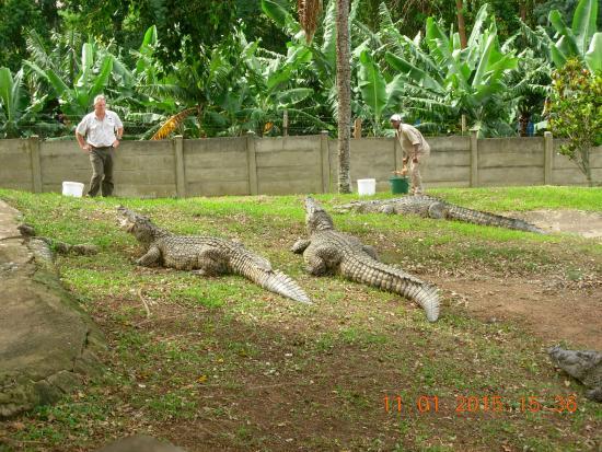 Riverbend Crocodile Farm
