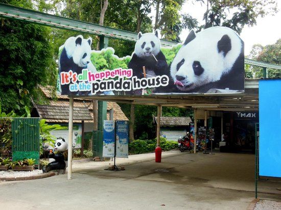 Chiang Mai zoologiske hage
