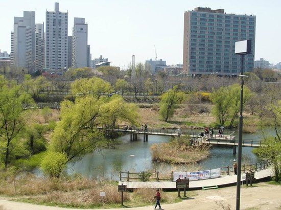 ヨイド セッガン 生態公園
