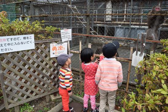 河口湖猿まわし劇場
