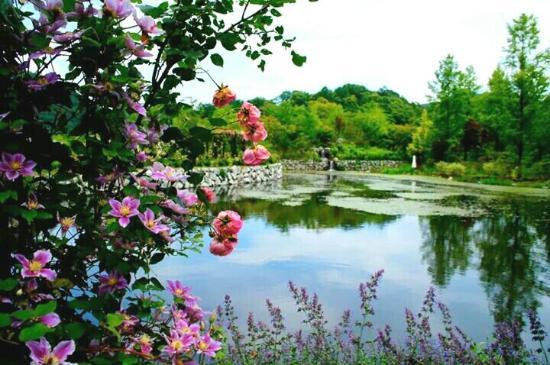 Karuizawa Lake Garden