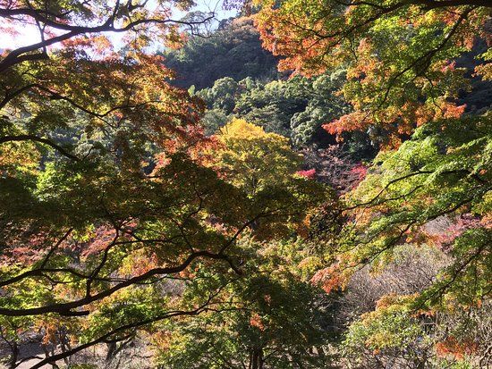 Atami Plum Garden