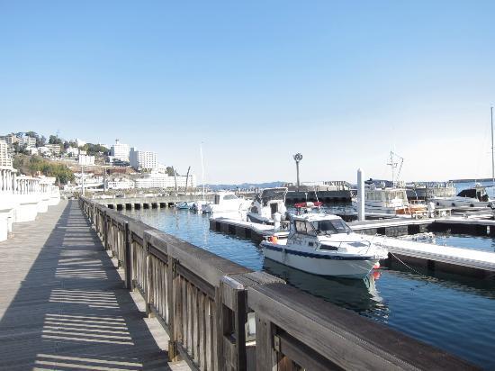Atami Marina