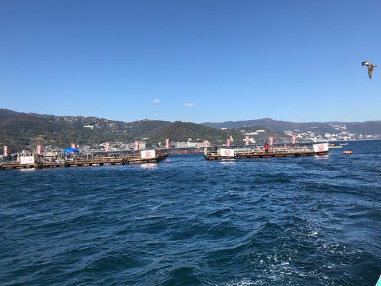 Ajiro Harbour