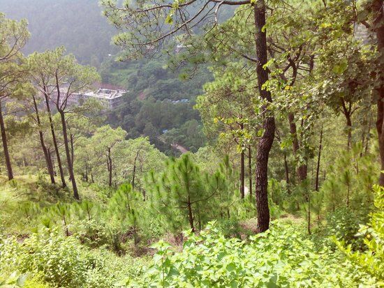 Khetarpal Marg