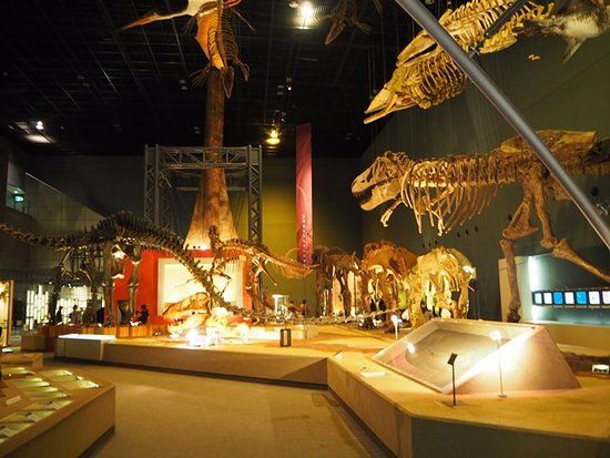 Natuurhistorisch Museum van de Prefectuur Kanagawa