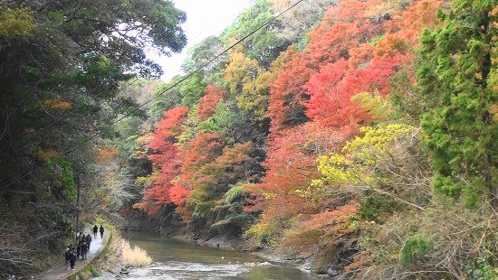 Yoro Gorge
