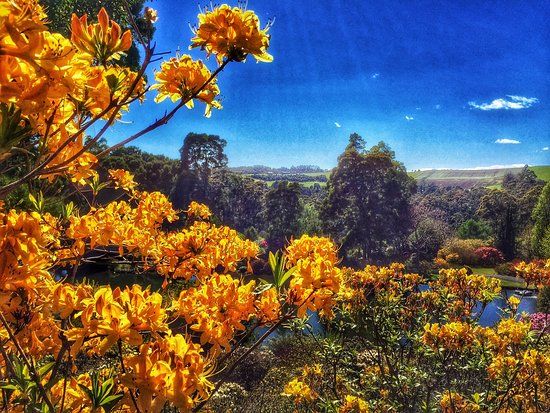 Emu Valley Rhododendron Garden
