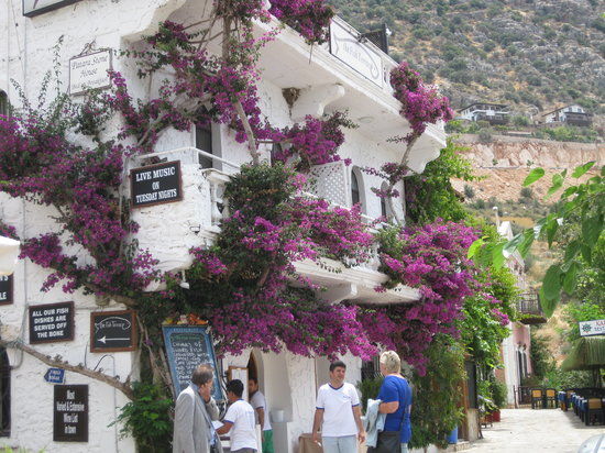 Fish Terrace