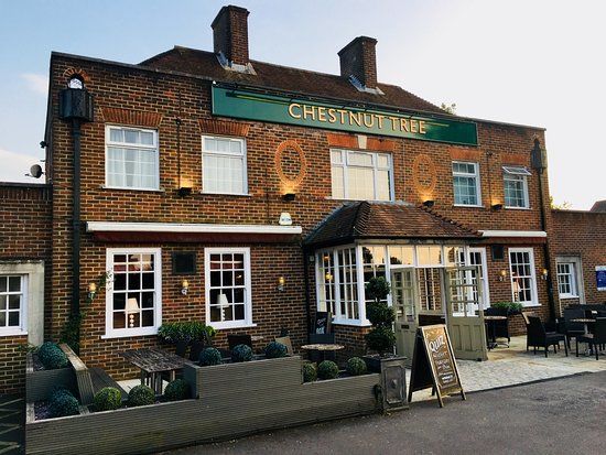 The Chestnut Tree