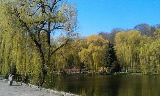 Orunski Park