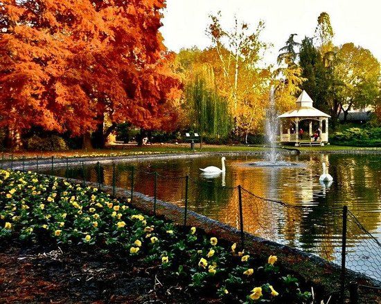 Danube Park