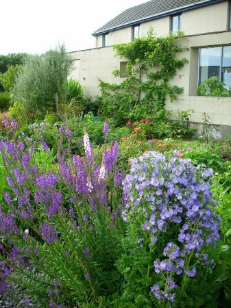 Doolin Garden and Nursery