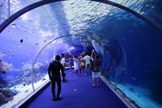 Underwater Observatory Park