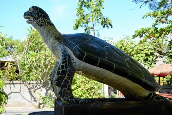 Turtle Conservation and Education Centre