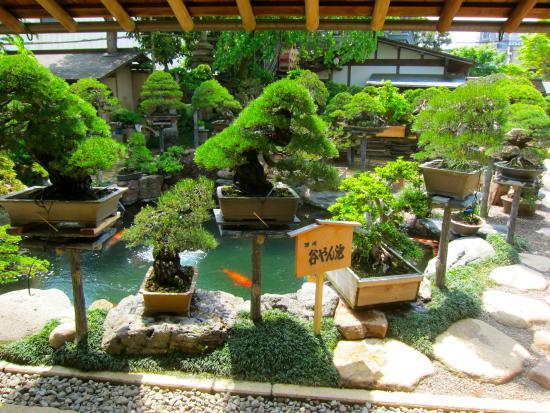 Bonsai-Museum Shunkaen
