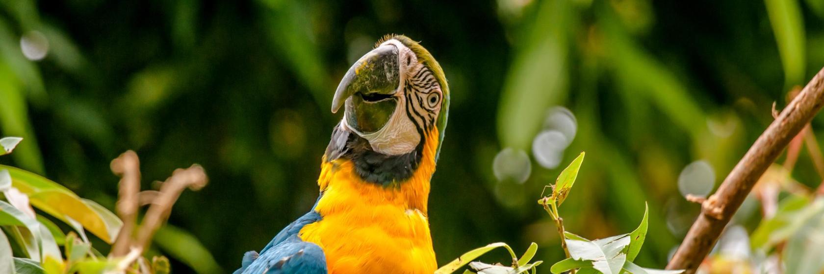 Jardim Zoológico RIOZOO
