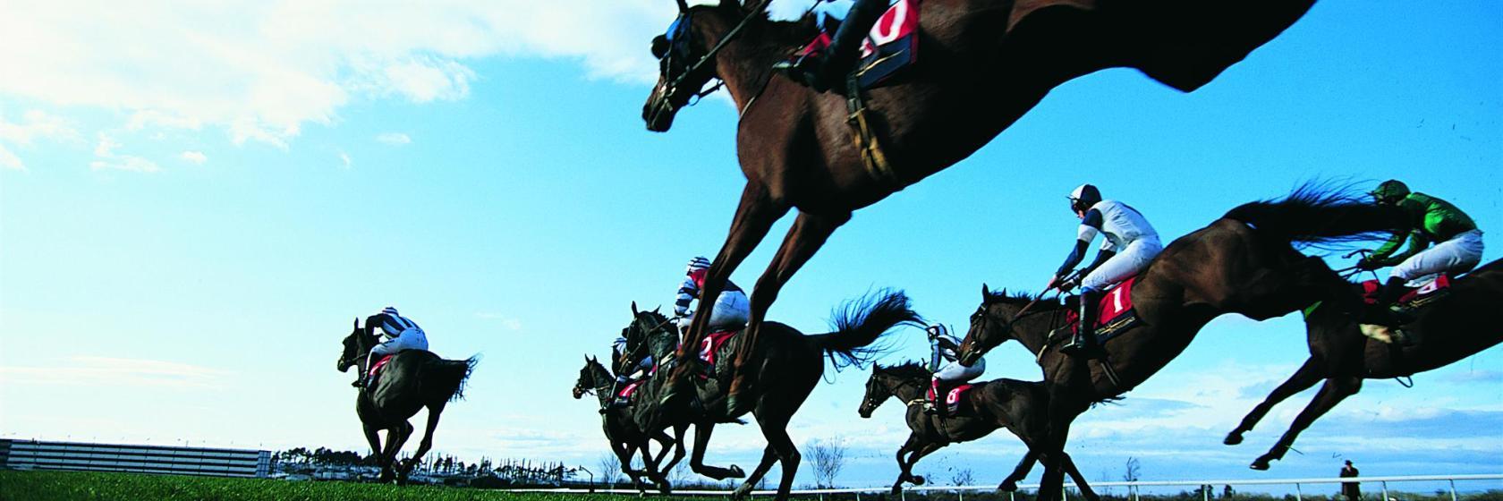 Nad Al Sheba Golf & Racing Club