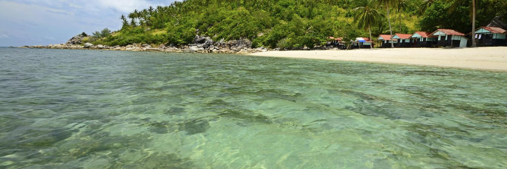 Haai baai