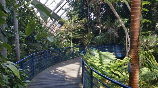 Bicentennial Conservatory