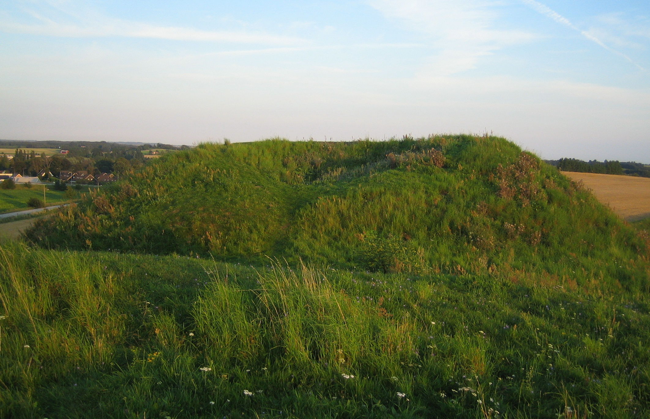 Kungshögarna von Malmö-Oxie