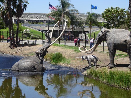 The La Brea Tar Pits and Museum