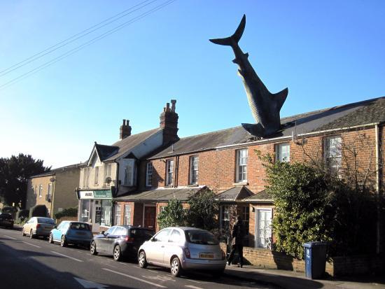 Headington Shark