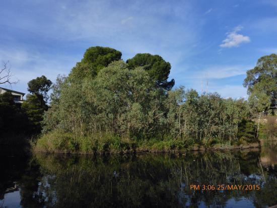 St Peters Billabong
