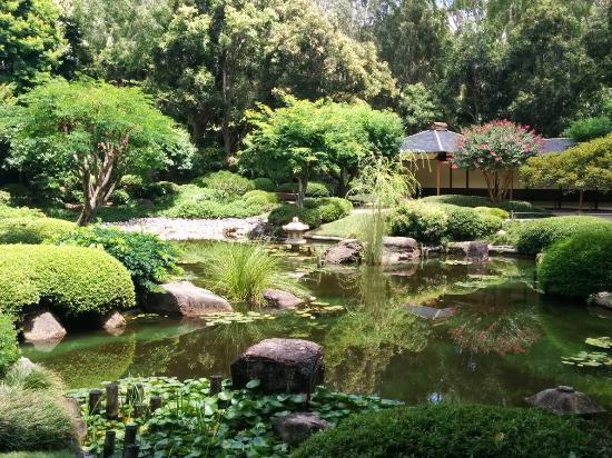 Brisbane Botanic Gardens