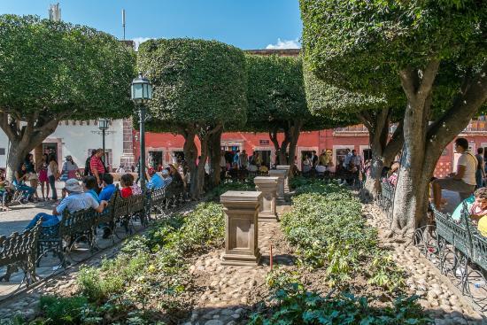 El Jardin