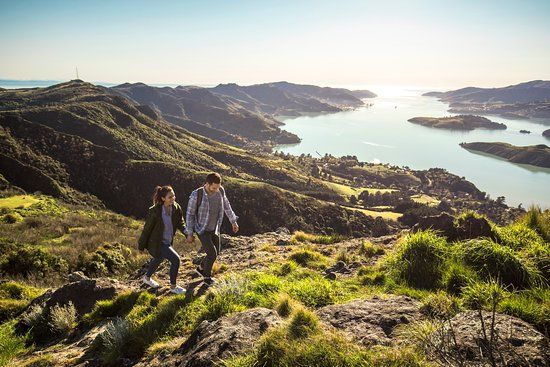 Port Hills