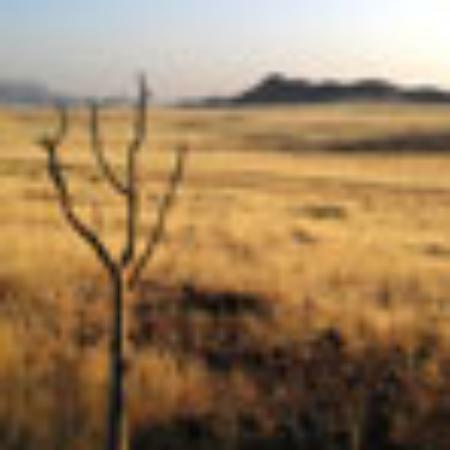 Magnolia Cafe & Country Gardener