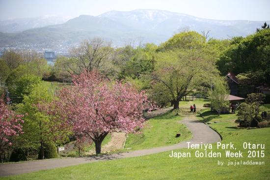 手宮公園