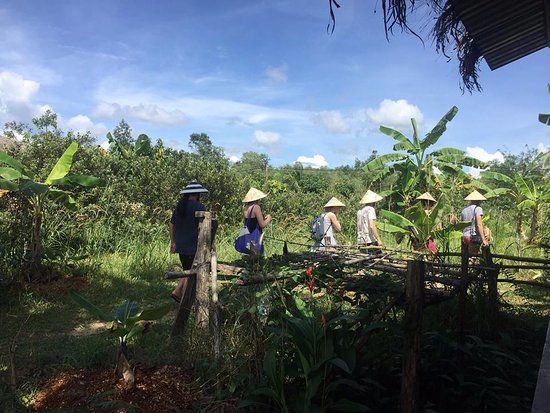Phu Quoc Countryside