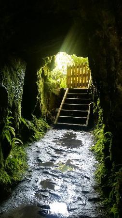 Tatare Tunnels Walk