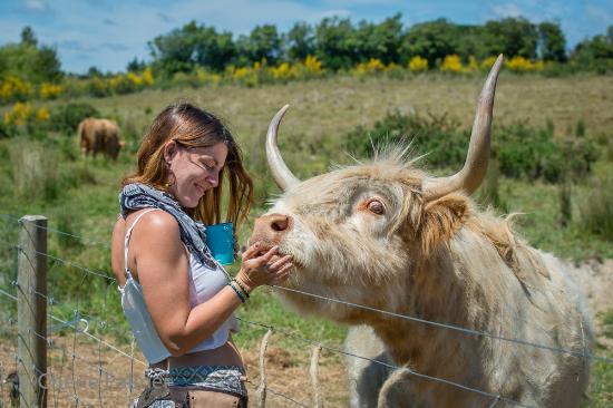 Animal Farm Rare Breeds Farm Park