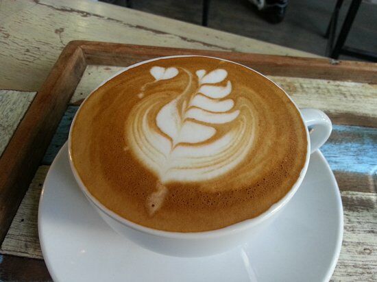 Tiger TED Cafe