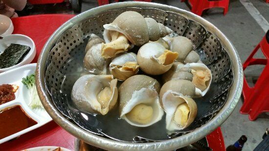 King Sipri Tong Whelk