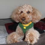 Gyoza-No-Ohsho Awaji Nishiguchi